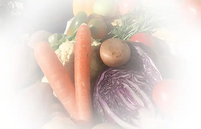 Heilpraxis Otto in Rangsdorf - Ernährung