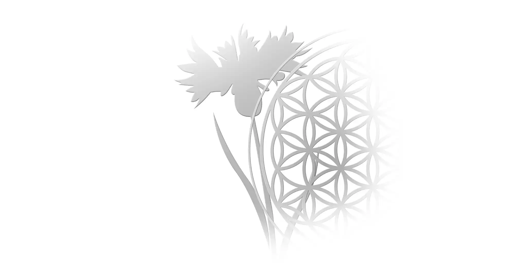 Heilpraxis Otto in Rangsdorf